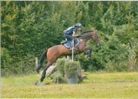 CCE NIVEAU CLUB ET AMATEUR