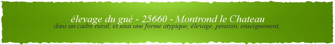 élevage du gué - 25660 - Montrond le Chateau